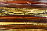 Polished Tiger's Iron Slab - South Africa #113009-1